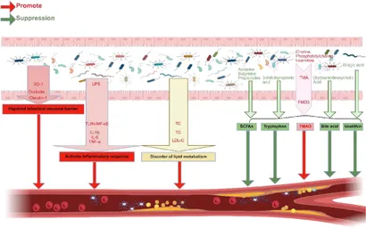 ユウ Z/X -Zillions of enemy X- アイドル♪スプラッシュフェスタ