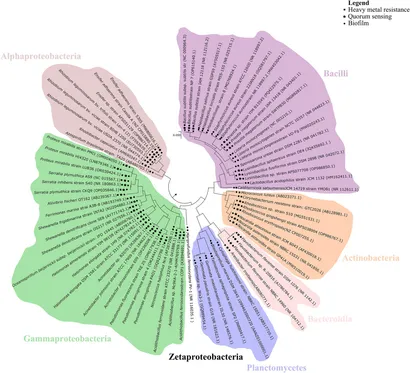 アース Disruption of nuclear speckle integrity dysregulates RNA