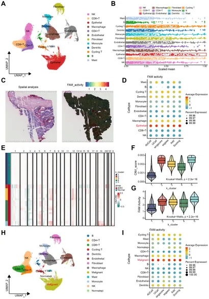 Frontiers | Cellular hierarchy framework based on single