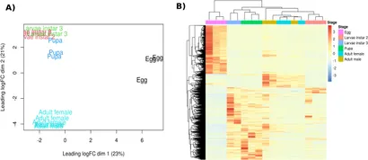 Frontiers | Stage-resolved transcriptomic profiling of Anastrepha