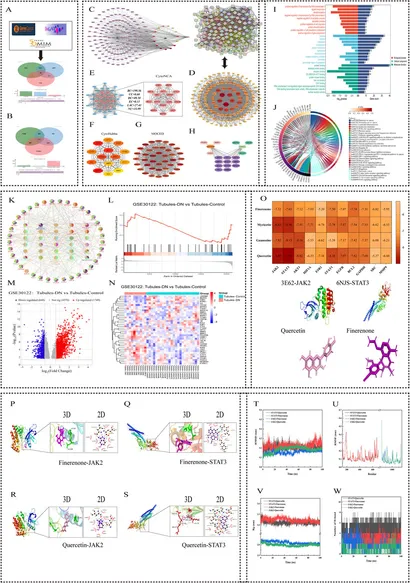 Frontiers | Huangkui capsule combined with finerenone