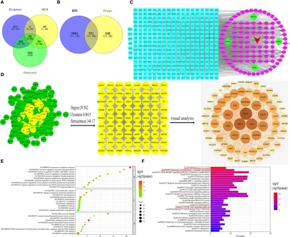 BE:FIRST/\"\"FIRST\"\"One Man Show-We All G… Frontiers | The Role of B Cells in Adult and Paediatric