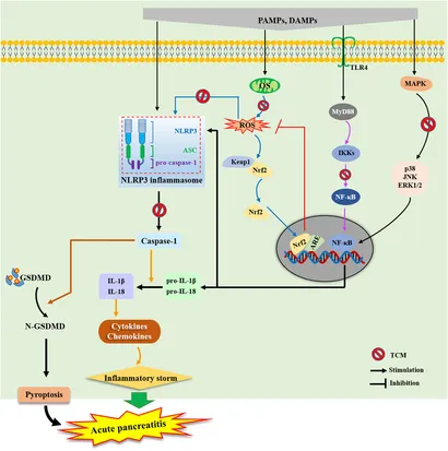 Frontiers | An overview of current research on the