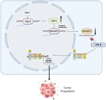 hc様 リズム製品情報 | 8RA647SR02