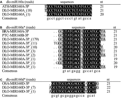 Frontiers | Endogenous target mimics down-regulate miR160