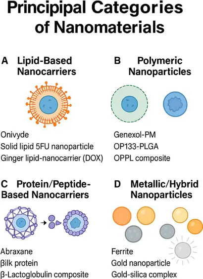Frontiers | Nano-enabled strategies for targeted