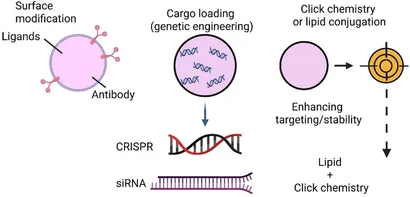 その他 m Simpson Strong-Tie SSPZ ZMax® Single Stud Plate Tie