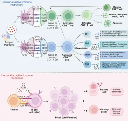 プレステソフト 最新情報 | 公式PlayStation™Store 日本
