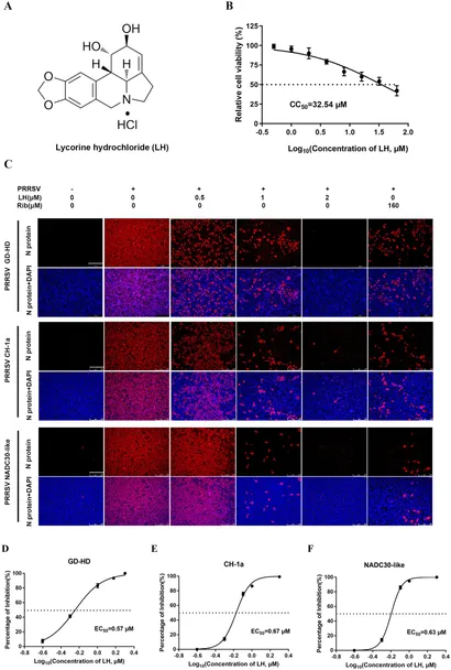 。。 QUALITY NEUTRAL SAFETY SWITCH FOR HARLEY FL 1965-1978