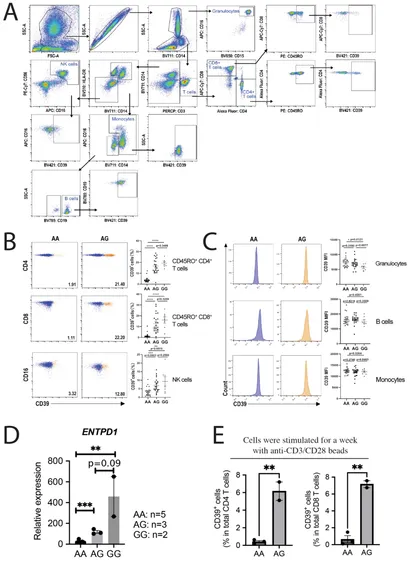 k*n様 ニキシー管　NEC　CD59とCD64 サ*ワ様 ニキシー管 NEC CD56 7ヶ backend=imagemagick;version=1;