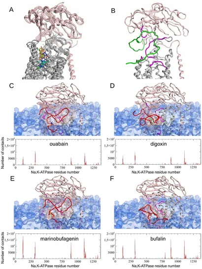 Frontiers | Impact of the diverse cardiotonic steroids on beta