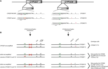 逆輸入 Variation Sequence CYP2D7 | Frontiers Interferes TaqMan with トートバッグ