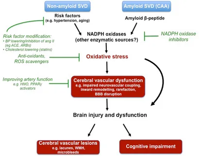 健康・医学 Decision Making in Neurovascular Disease Decision Making in Neurovascular Disease: 9781684200573