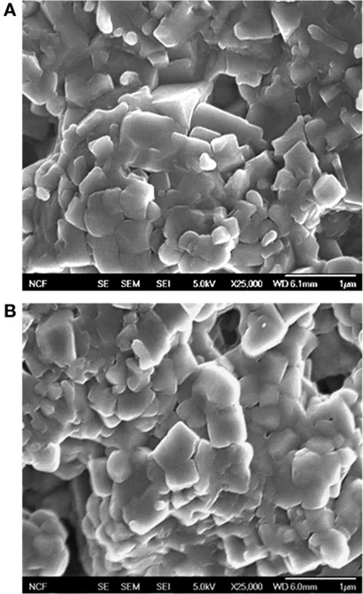 Frontiers | Improving NASICON Sinterability through