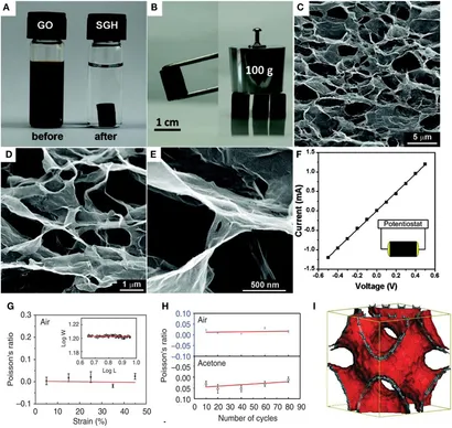  3枚Mサイズ 3セット MYC Oncogene: A Druggable Target for Treating Cancers with