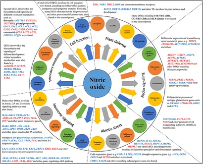 Frontiers | Nitric Oxide Mediated Transcriptome Profiling