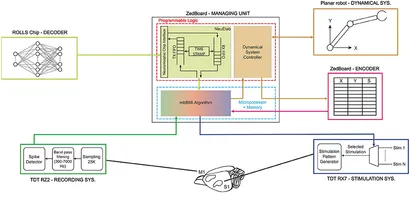 その他 I AM INTERBRAIN ACTIVATION METHOD DVD その他 I AM INTERBRAIN ACTIVATION METHOD DVD I AM INTERBRAIN