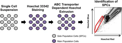 ahplストレス Explorers - Explorers added a new photo.