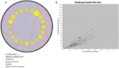 Frontiers | The Combination of Three Components Derived from