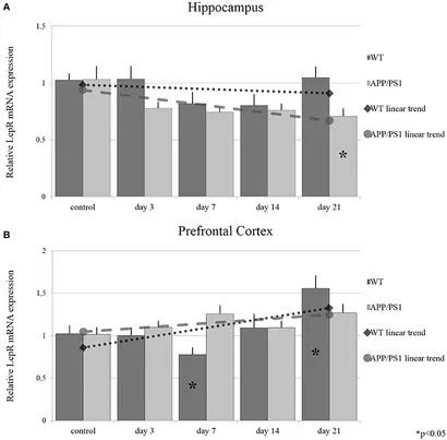 Frontiers | Adiponectin Receptors Are Less Sensitive to