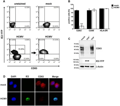 fmicb-08-00119-g001.jpg