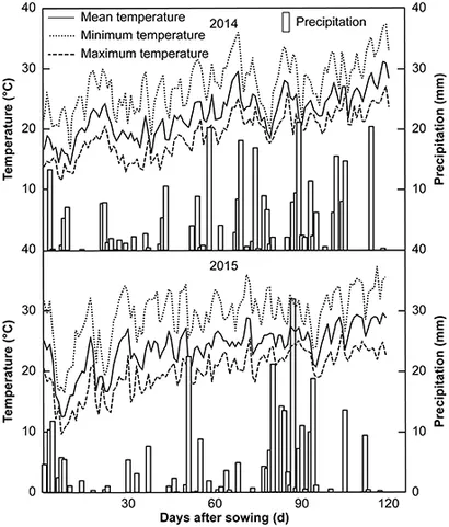 Frontiers | Cultivar Differences in Root Nitrogen Uptake