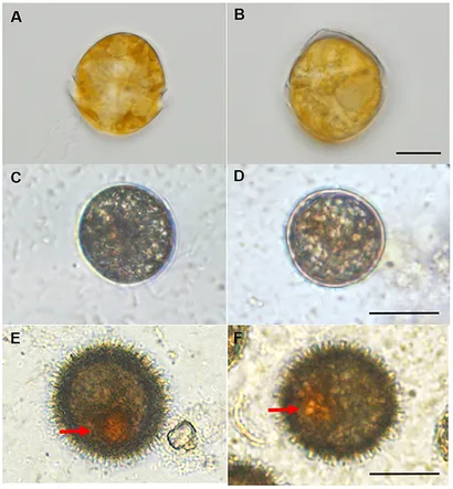 fmicb-08-02450-g001.jpg