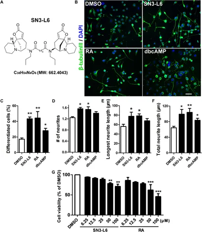 HUMAN 3形態セット Dynamic Changes in Aroma Compounds during Processing of Flat