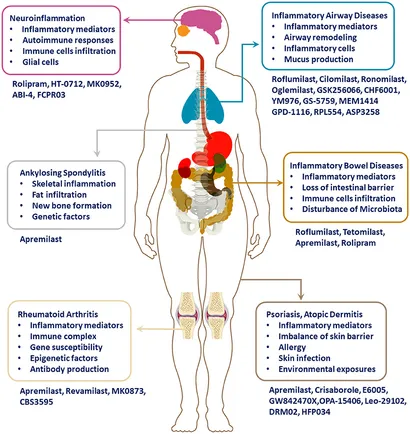 Frontiers | Arachidonate 15-lipoxygenase type B: Regulation