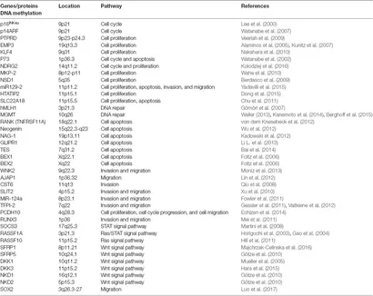 Frontiers | Potential Epigenetic-Based Therapeutic Targets