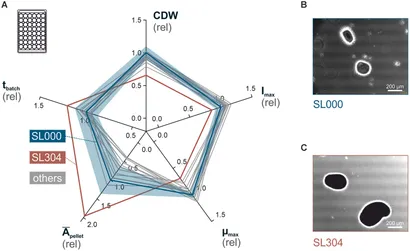 Frontiers | Characterization of Sigma Factor Genes in