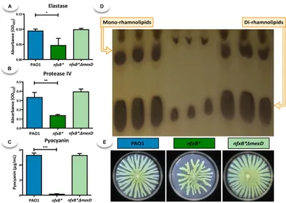 Mumps Mechanisms E-L 12”レコード2枚組 Loss of C9orf72 perturbs the Ran-GTPase gradient and