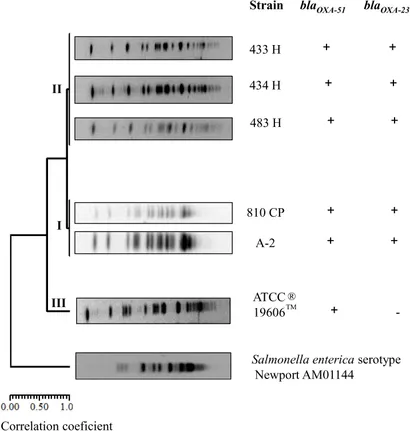 fmicb-10-00132-g001.jpg