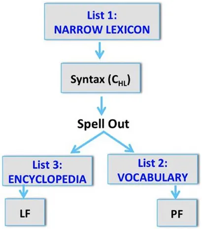 The Internationalization of English(省略) The 'internationalisation', or 'Englishisation', of higher