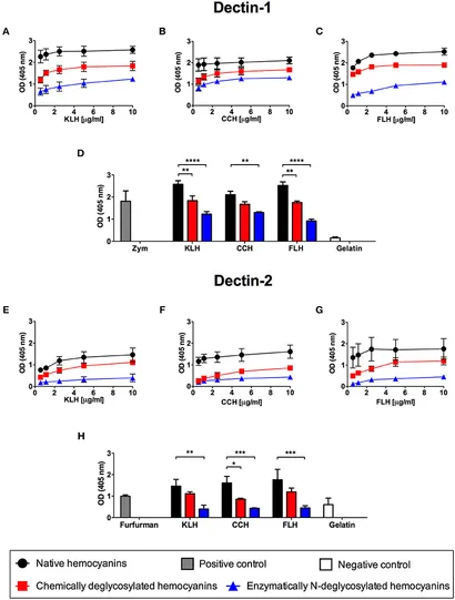 Superparamagnetic iron oxide nanoparticles drive miR-485-5p