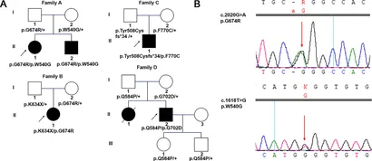 fgene-10-01217-g001.jpg