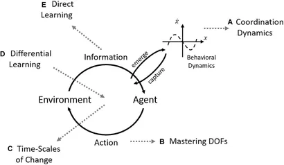 Frontiers | Search Strategies in the Perceptual-Motor