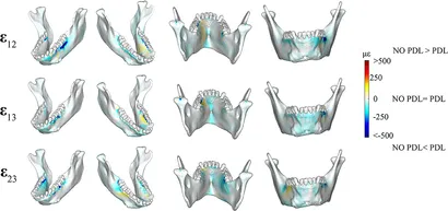 fbioe-07-00269-g005.jpg