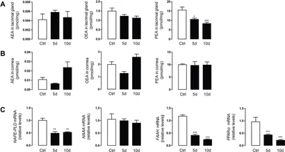 20-60代 人気ファッションブランド Frontiers | Lipid Local Maintains N-Palmitoylethanolamine 果物