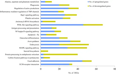 Frontiers | Comparison of the Transcriptome of the Ovine