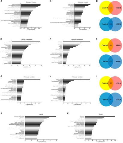人気定番の Inhibits NR-104098 LncRNA | Frontiers AML and Proliferation その他