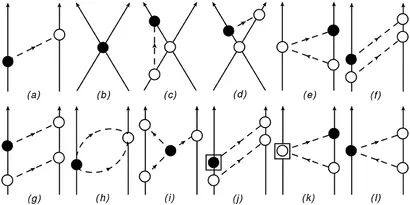 fphy-08-00218-g001.jpg