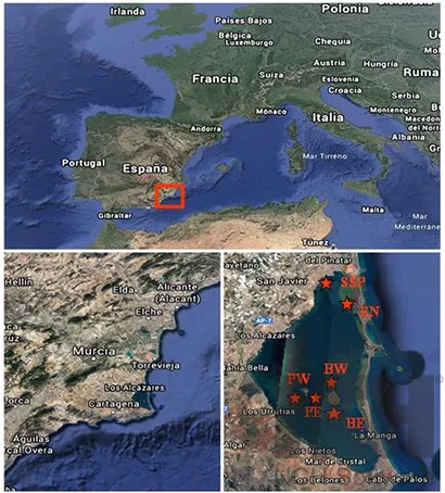 graphic_overview