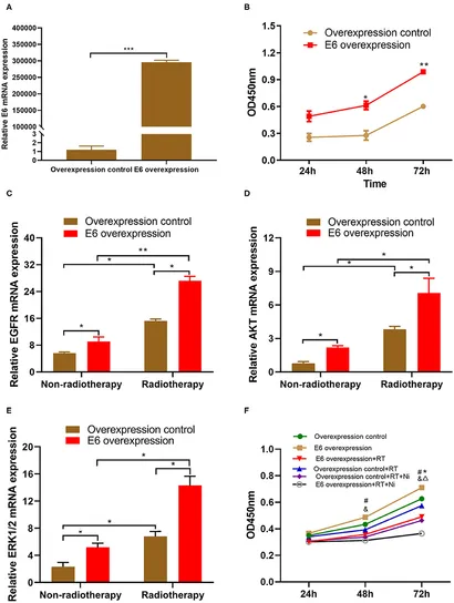 るーむ The Voltage‐Adaptive Effect in Lithium–Sulfur Batteries