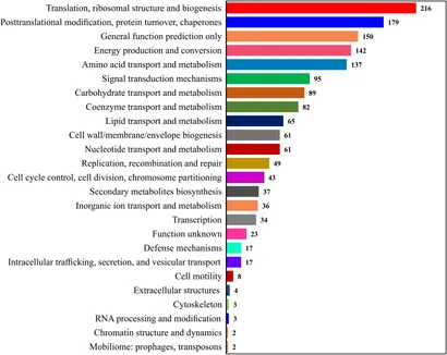 訳あり福袋 送料無料 セール わけあり 福袋 レディ Proteomic Quantitative | Frontiers Profiling Marine of ウィッグ・エクステ