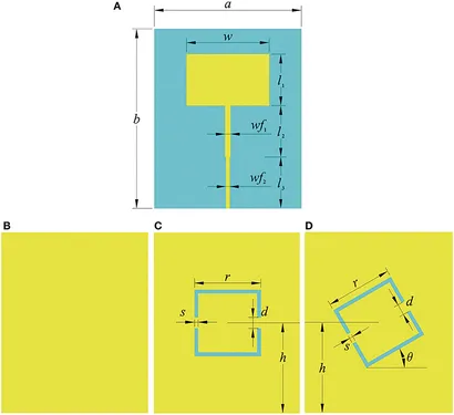 fphy-08-00279-g001.jpg