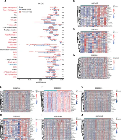 Frontiers | Immune Cell Confrontation in the Papillary