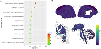 お中元 お歳暮 お年賀 夏 冬 年末年始のご挨拶 ギフト 通販な Spatial The | Frontiers and SARS of Distribution Cell-Type 女性漫画