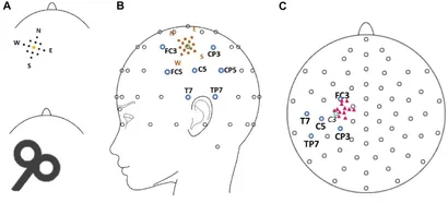 eeg 2008年 NeuroGuide EEG Collections Module - BrainMaster Technologies