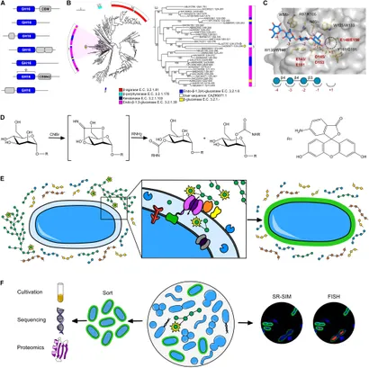 Frontiers | Approaches to Investigate Selective Dietary